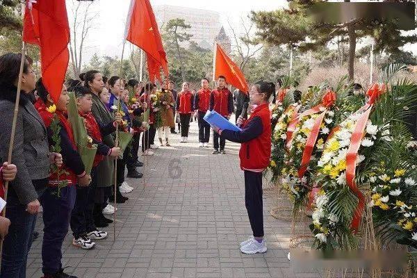 多肉植物怎么养?-优质红迪网平台,分享你的精彩故事